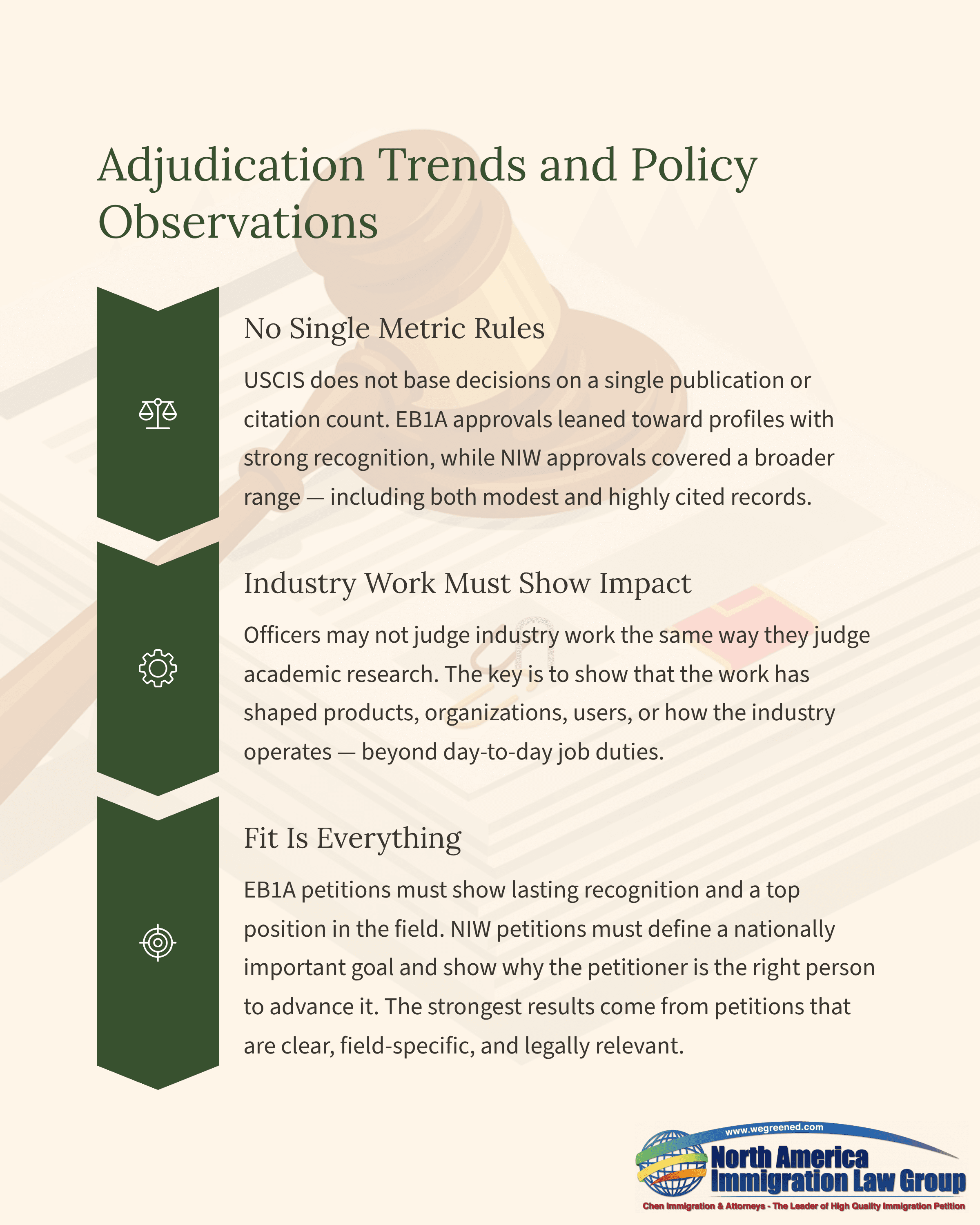 Document detailing USCIS adjudication trends, policy observations, and guidelines for petitioners.