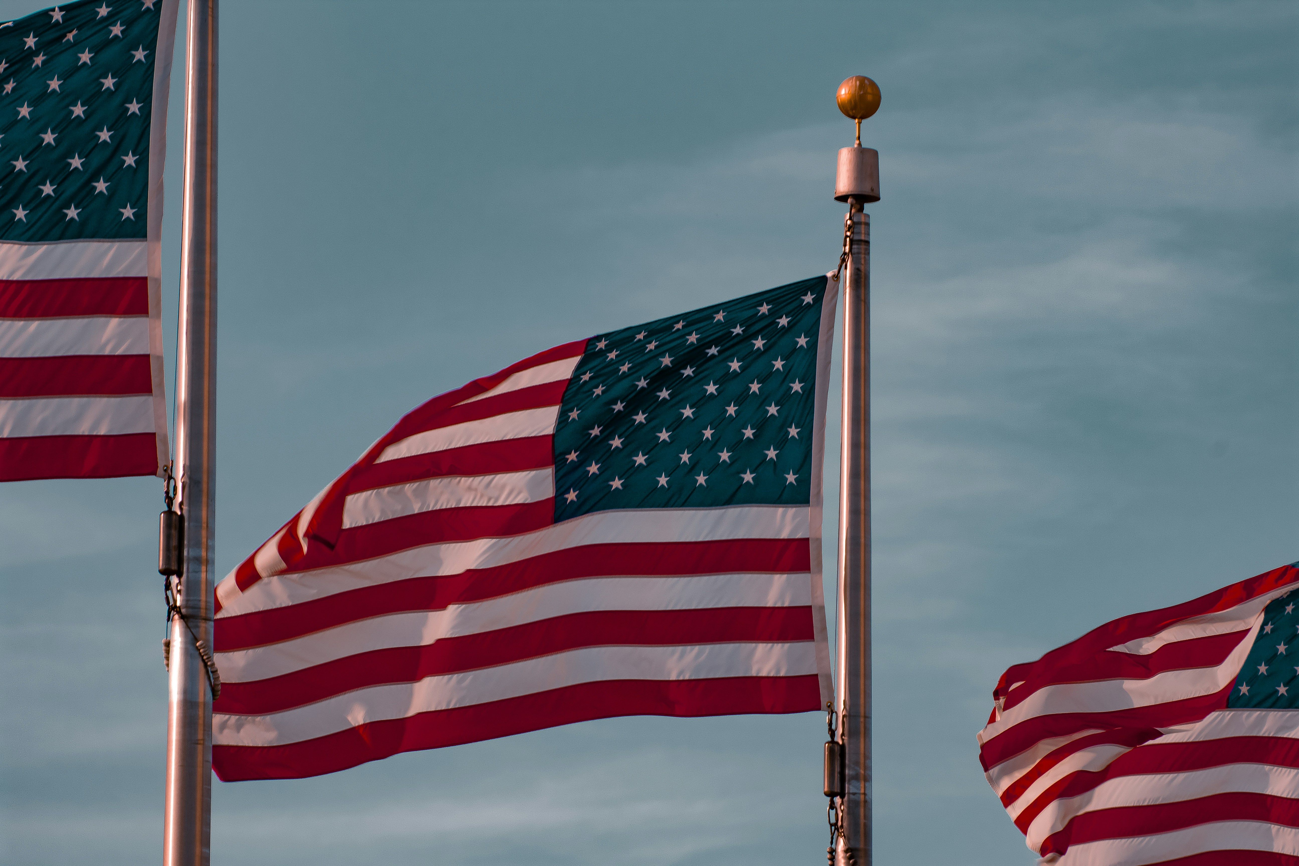 Multiple American flags wave gently on flagpoles against a clear blue sky.